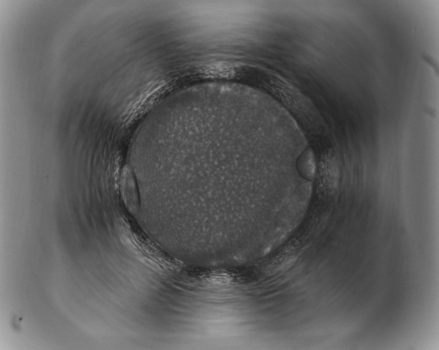 X0000102370600200808221741