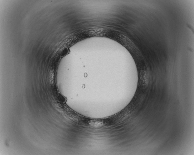 X0000102370602200808221741