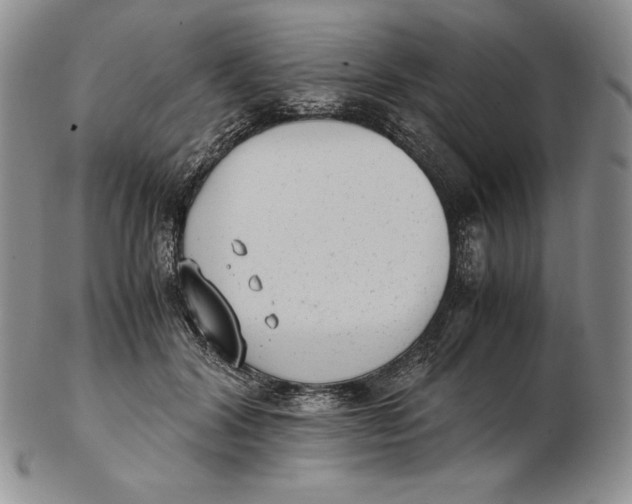 X0000102370604200808221741