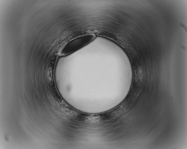 X0000102370606200808221740