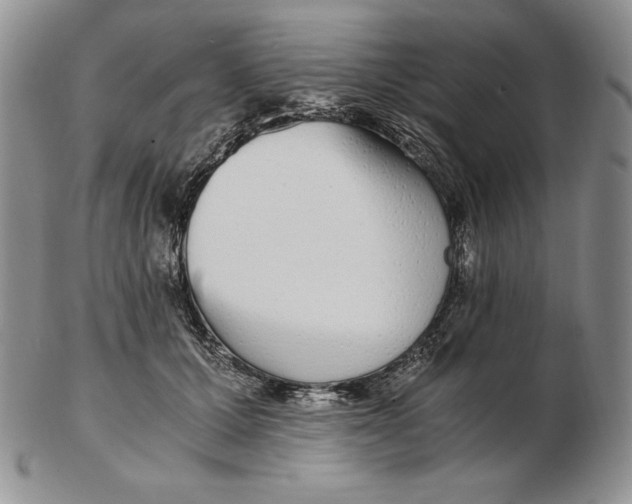 X0000102370607200808221740