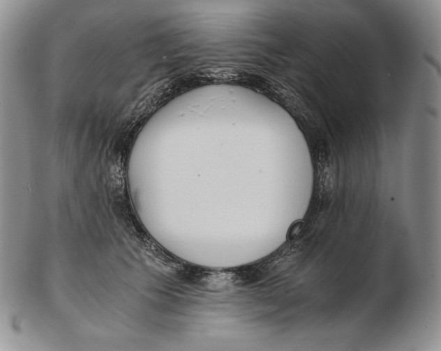 X0000102370609200808221740