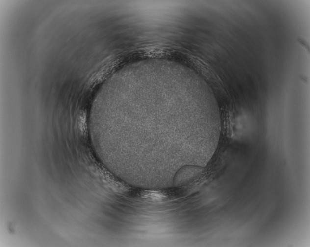 X0000102370610200808221740