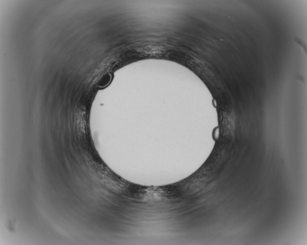 X0000102370612200808221740