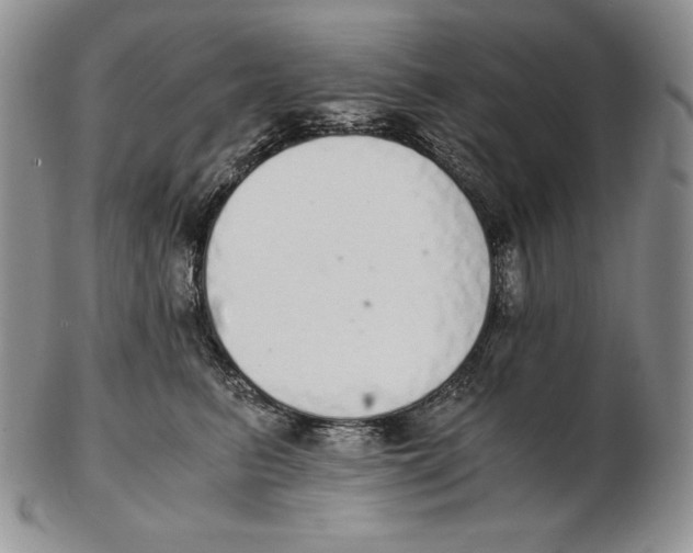 X0000102370615200808221740