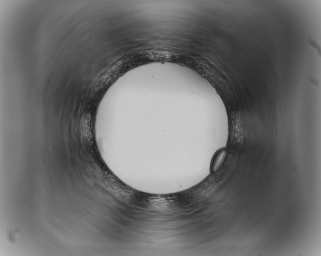 X0000102370616200808221740