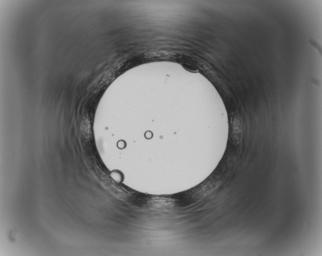 X0000102370617200808221740