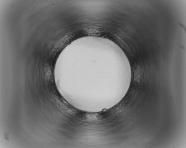 X0000102370618200808221740