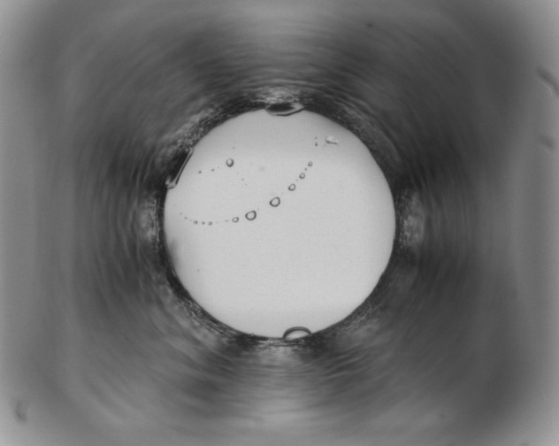 X0000102370620200808221740