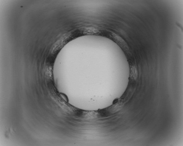 X0000102370621200808221740