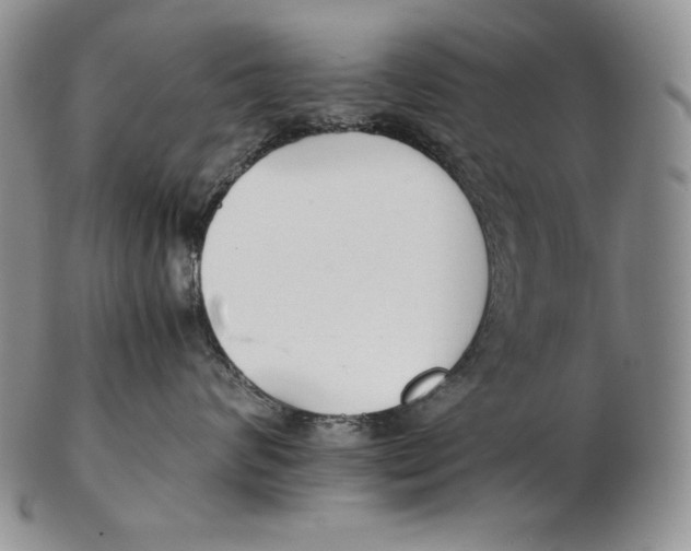 X0000102370624200808221740