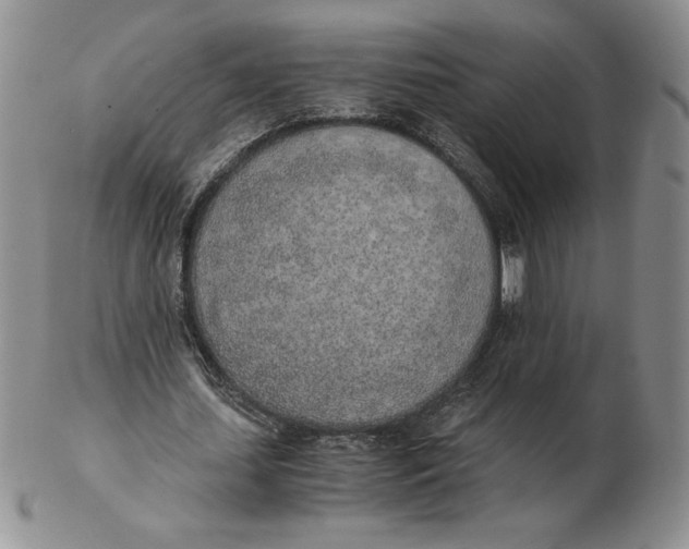 X0000102370627200808221740