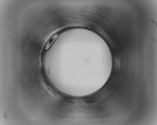 X0000102370628200808221740