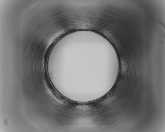 X0000102370630200808221740