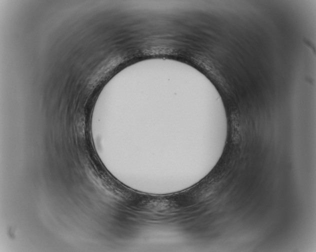 X0000102370631200808221740