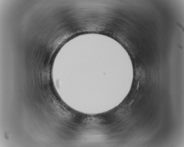 X0000102370632200808221740