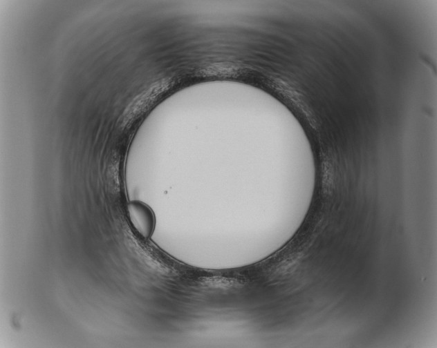 X0000102370633200808221740