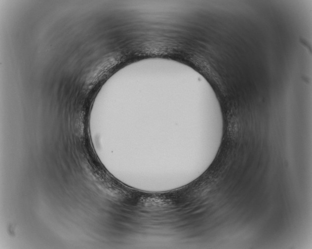 X0000102370635200808221740