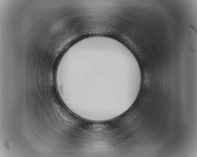 X0000102370636200808221740