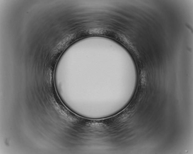 X0000102370637200808221740