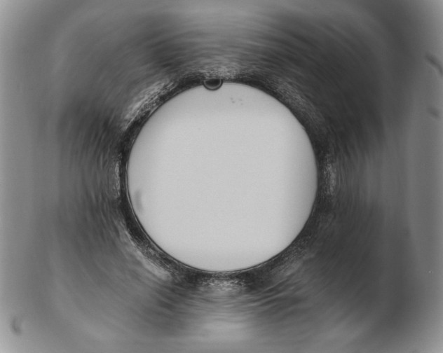 X0000102370638200808221740