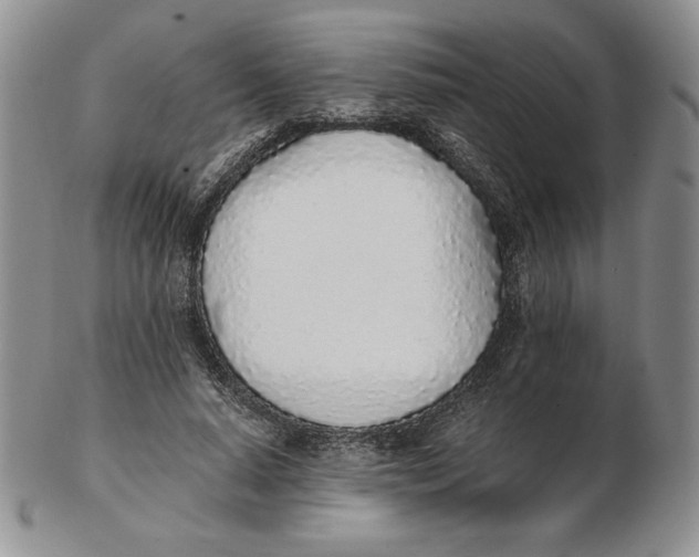 X0000102370640200808221740