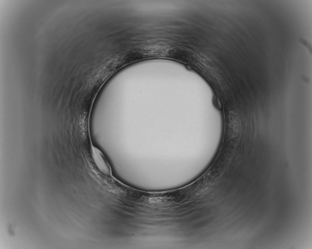 X0000102370641200808221740