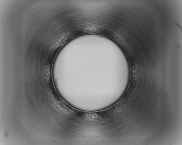 X0000102370642200808221740