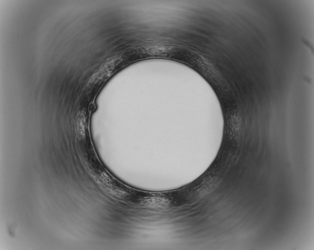 X0000102370644200808221740