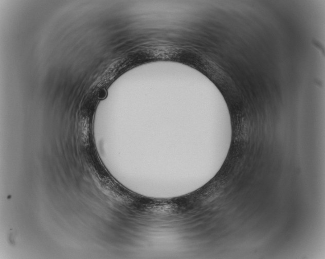 X0000102370646200808221740