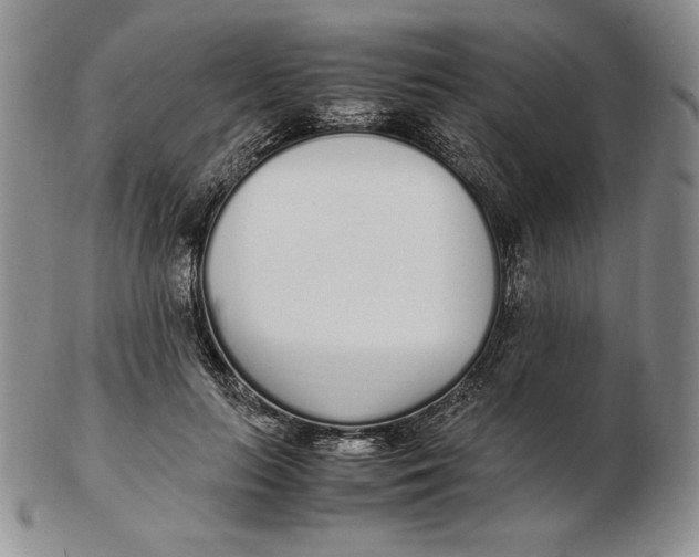 X0000102370647200808221740