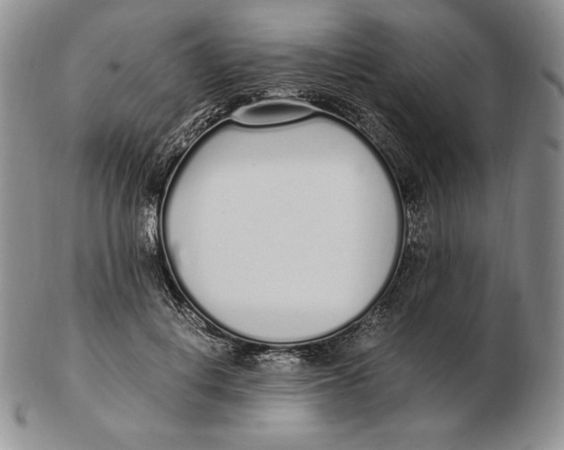 X0000102370648200808221740