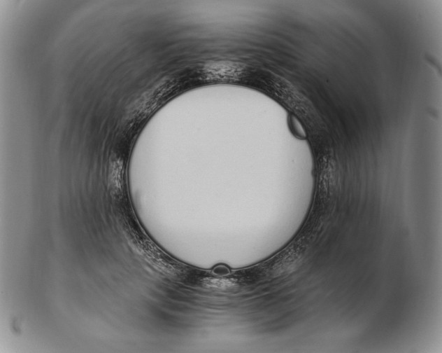 X0000102370649200808221740