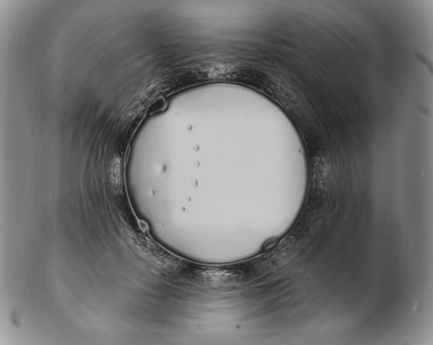 X0000102370650200808221740