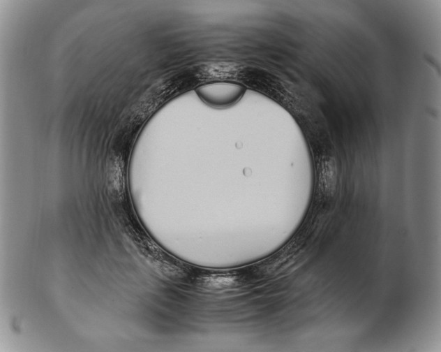 X0000102370651200808221740