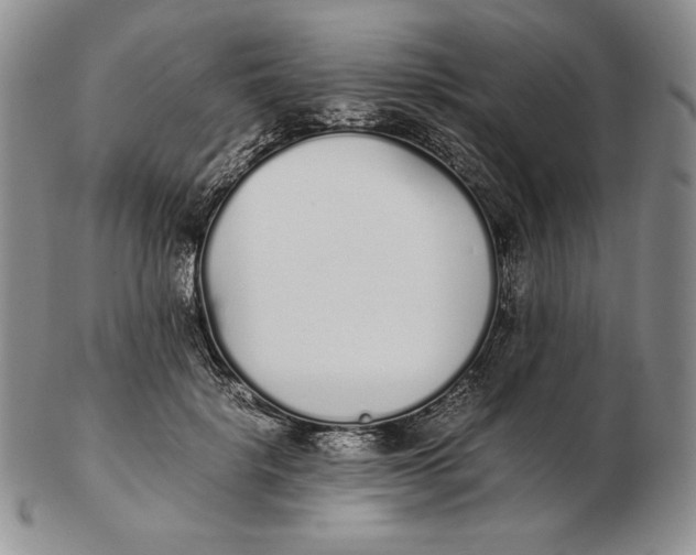 X0000102370652200808221740