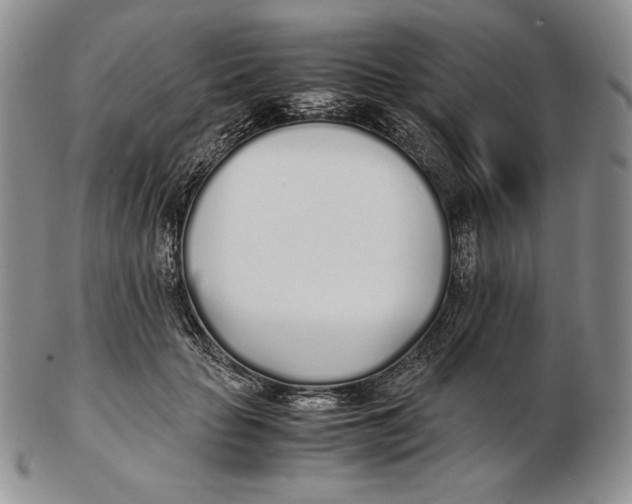 X0000102370653200808221740