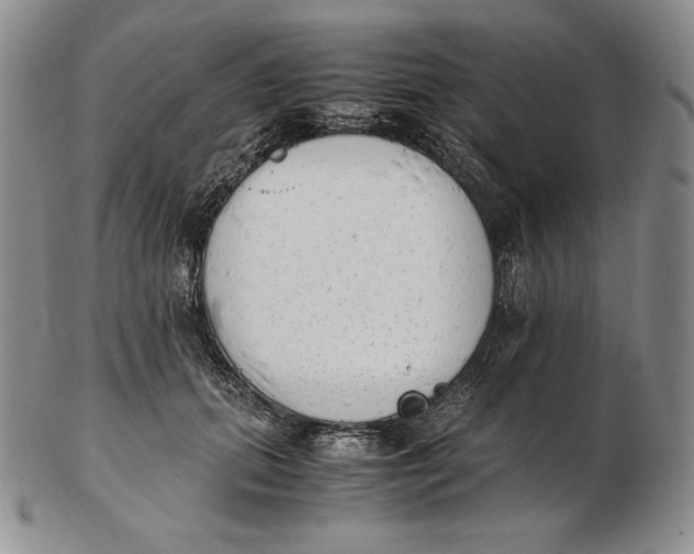 X0000102370655200808221740