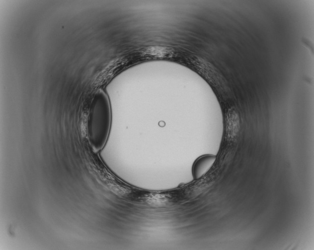 X0000102370656200808221740