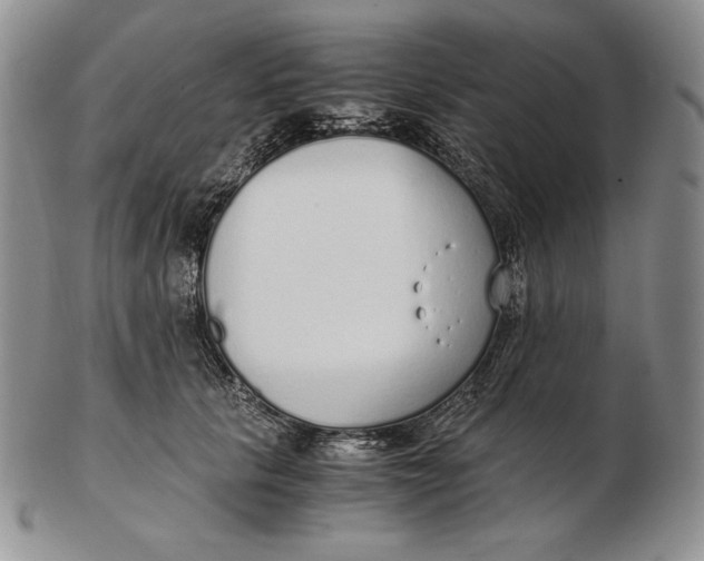 X0000102370657200808221740