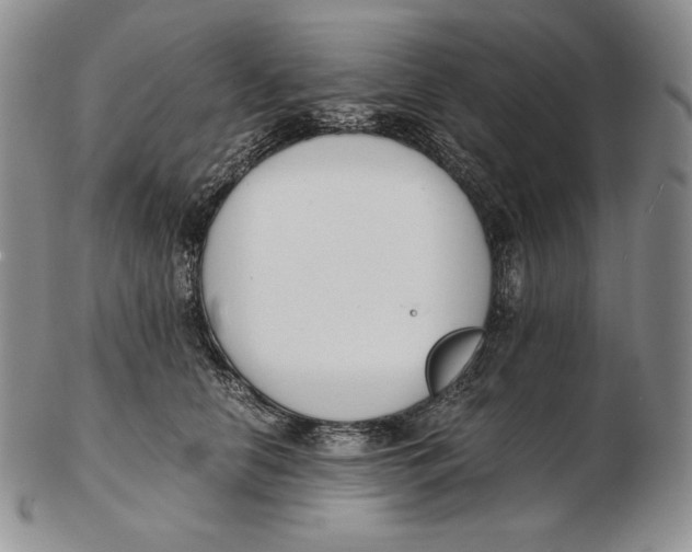 X0000102370658200808221740