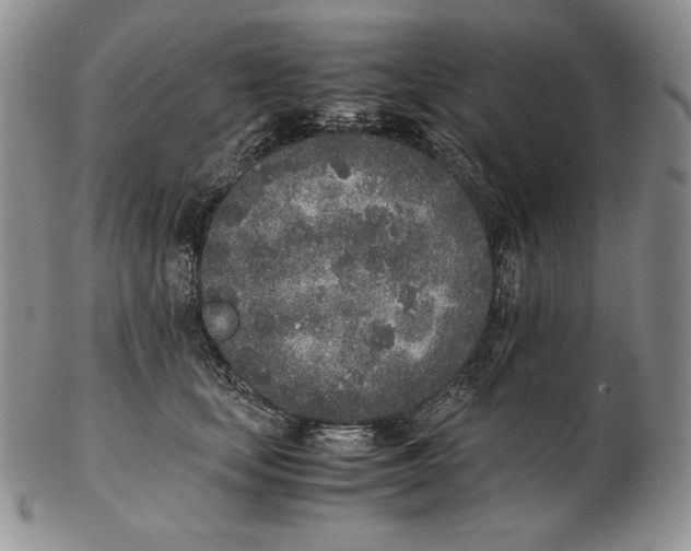 X0000102370659200808221740