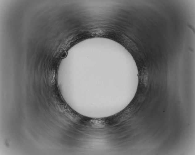 X0000102370660200808221740