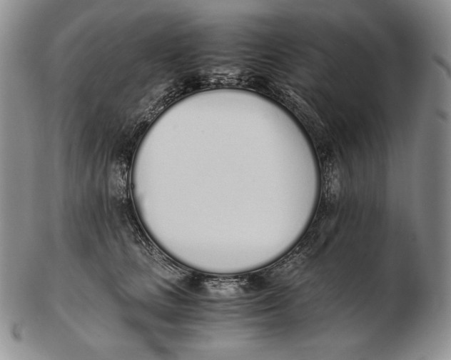 X0000102370661200808221740