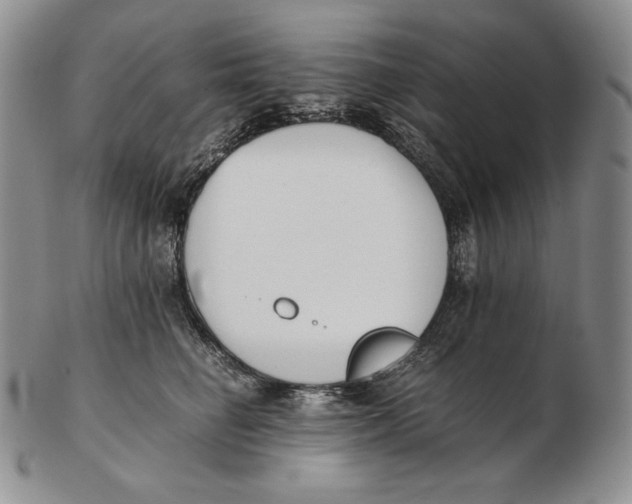 X0000102370662200808221740