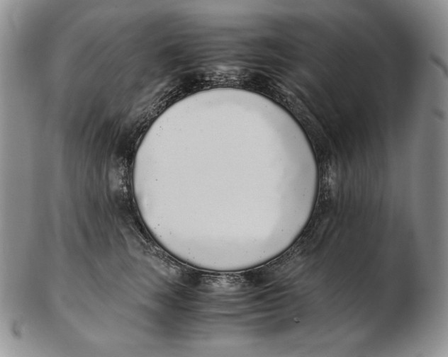 X0000102370663200808221740