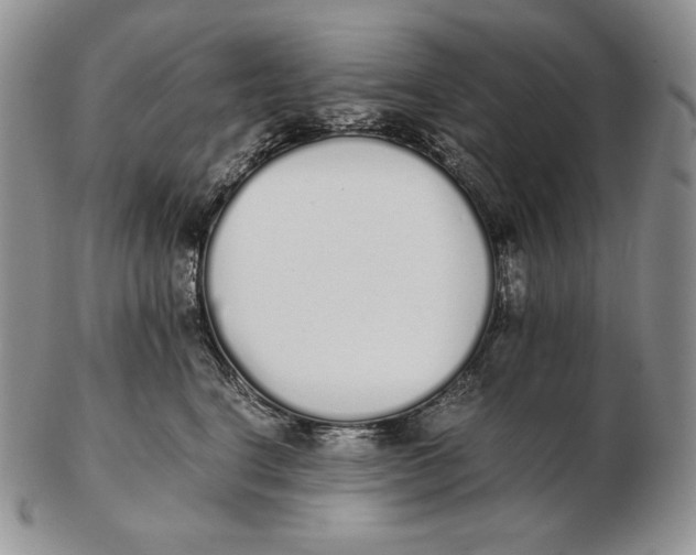 X0000102370664200808221740