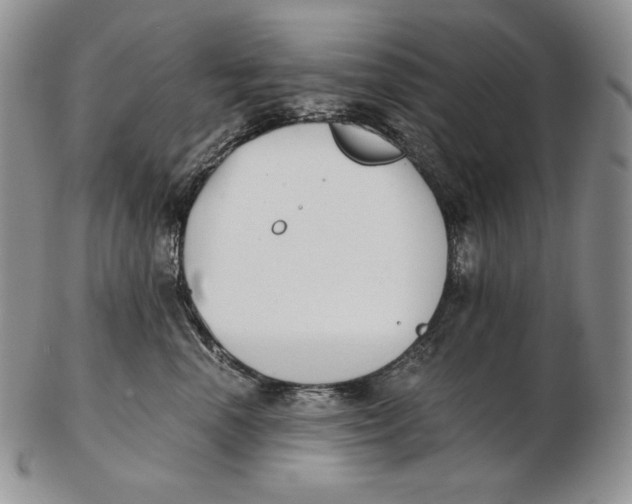 X0000102370666200808221740