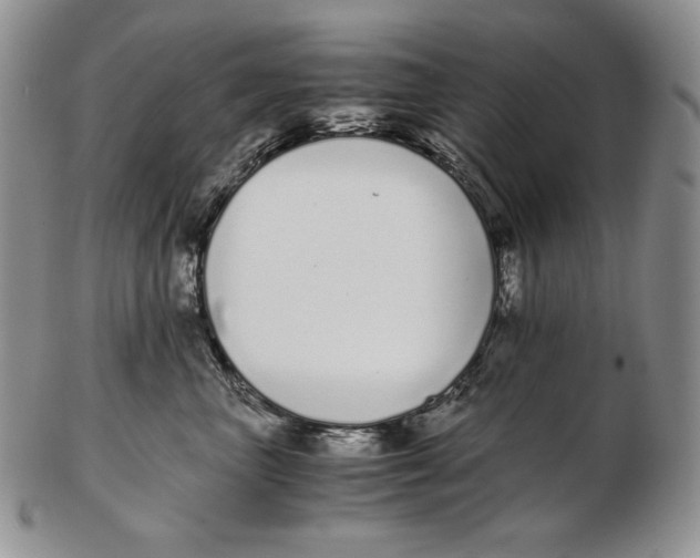 X0000102370667200808221740