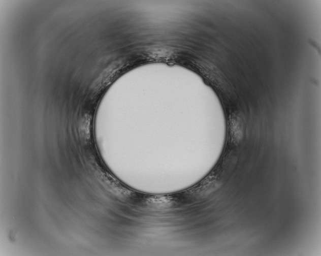 X0000102370668200808221740